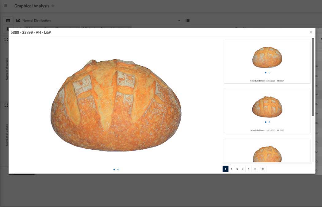 oriq-photographic-measurements-bread